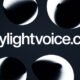 Skylightvoice.com